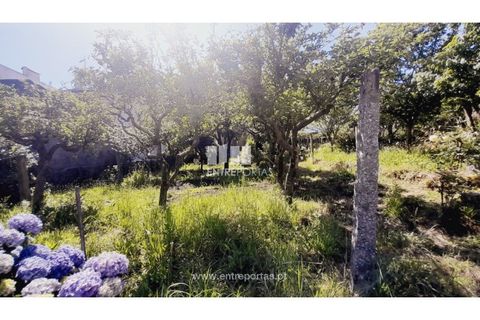 Helårsgrund i Darque, Viana do Castelo, Darque - € 52.000 | Ref: VCC14339 - foto 19