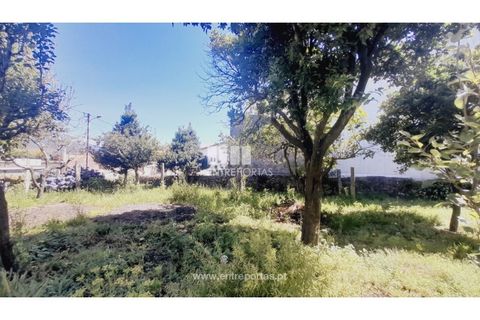 Helårsgrund i Darque, Viana do Castelo, Darque - € 52.000 | Ref: VCC14339 - foto 20