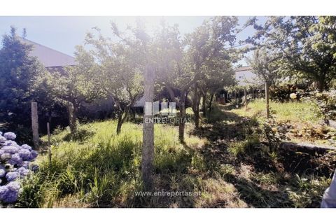 Helårsgrund i Darque, Viana do Castelo, Darque - € 52.000 | Ref: VCC14339 - foto 21