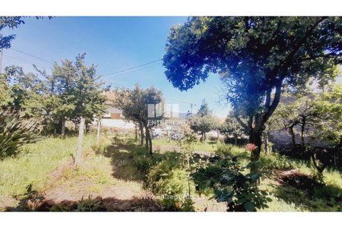 Helårsgrund i Darque, Viana do Castelo, Darque - € 52.000 | Ref: VCC14339 - foto 22