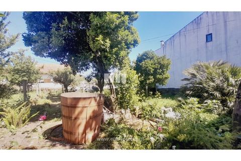 Helårsgrund i Darque, Viana do Castelo, Darque - € 52.000 | Ref: VCC14339 - foto 23