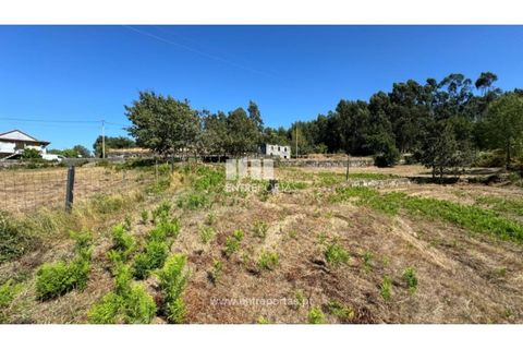 Helårsgrund i Amarante, Porto, Amarante - € 57.500 | Ref: MC09725 - foto 1