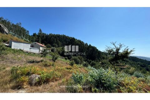Helårsgrund i Amarante, Porto, Amarante - € 57.500 | Ref: MC09725 - foto 6