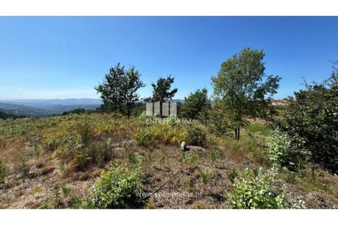 Helårsgrund i Amarante, Porto, Amarante - € 57.500 | Ref: MC09725 - foto 7