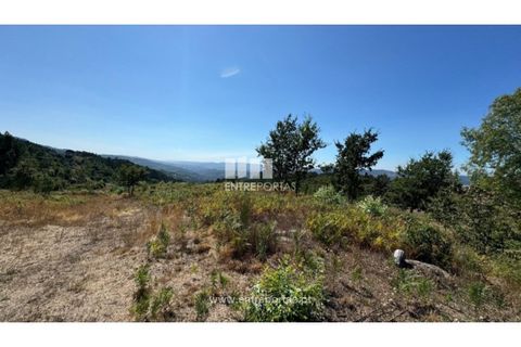 Helårsgrund i Amarante, Porto, Amarante - € 57.500 | Ref: MC09725 - foto 10
