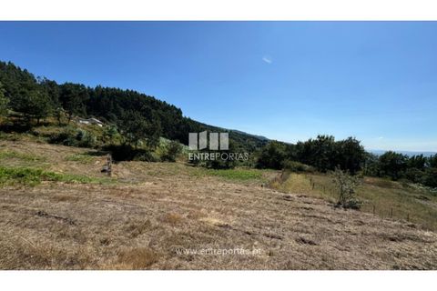 Helårsgrund i Amarante, Porto, Amarante - € 57.500 | Ref: MC09725 - foto 11