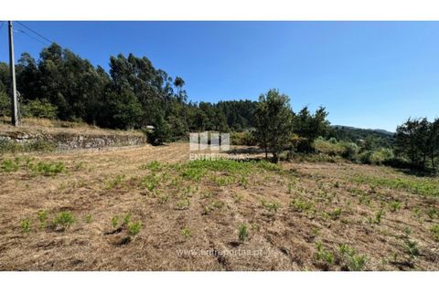 Helårsgrund i Amarante, Porto, Amarante - € 57.500 | Ref: MC09725 - foto 14