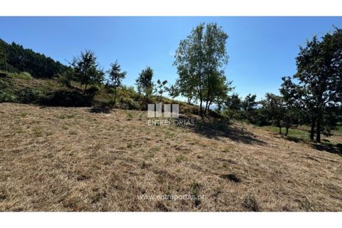 Helårsgrund i Amarante, Porto, Amarante - € 57.500 | Ref: MC09725 - foto 15