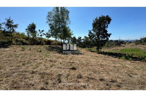 Helårsgrund i Amarante, Porto, Amarante - € 57.500 | Ref: MC09725 - foto 16