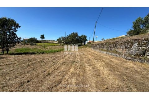 Helårsgrund i Amarante, Porto, Amarante - € 57.500 | Ref: MC09725 - foto 17