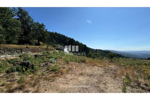Helårsgrund i Amarante, Porto, Amarante - € 57.500 | Ref: MC09725 - foto 19