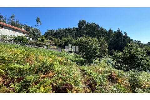 Helårsgrund i Amarante, Porto, Amarante - € 57.500 | Ref: MC09725 - foto 20