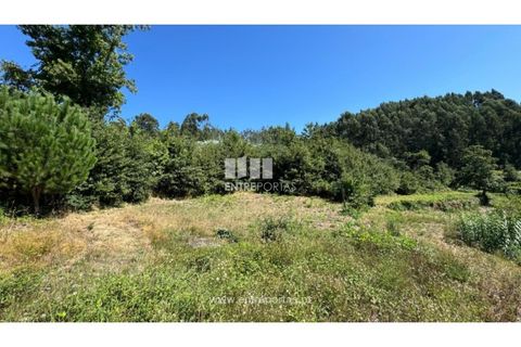 Helårsgrund i Amarante, Porto, Amarante - € 57.500 | Ref: MC09725 - foto 21