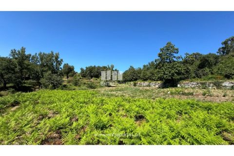 Helårsgrund i Amarante, Porto, Amarante - € 57.500 | Ref: MC09725 - foto 22