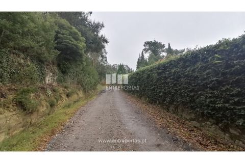 Helårsgrund i Vila do Conde, Porto, Vila do Conde - € 79.000 | Ref: VC04775 - foto 3