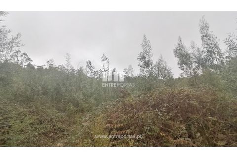 Helårsgrund i Vila do Conde, Porto, Vila do Conde - € 79.000 | Ref: VC04775 - foto 5
