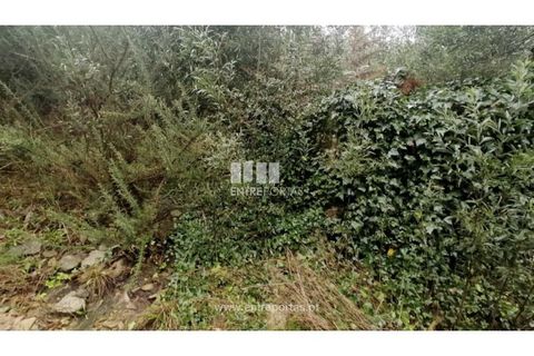 Helårsgrund i Vila do Conde, Porto, Vila do Conde - € 79.000 | Ref: VC04775 - foto 8