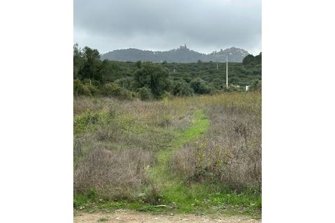 Helårsgrund i Sintra, Lisbon, Sintra - € 175.000 | Ref: C0223-07560 - foto 2