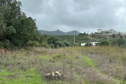 Helårsgrund i Sintra, Lisbon, Sintra - € 175.000 | Ref: C0223-07560 - foto 3