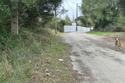 Helårsgrund i Sintra, Lisbon, Sintra - € 175.000 | Ref: C0223-07560 - foto 5