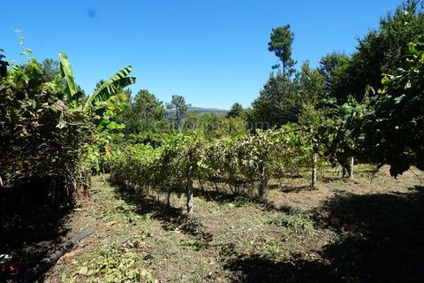 Helårsgrund i Moncao, Viana do Castelo, Moncao - € 15.000 | Ref: 4223 - foto 1