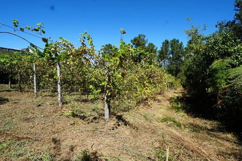 Helårsgrund i Moncao, Viana do Castelo, Moncao - € 15.000 | Ref: 4223 - foto 2