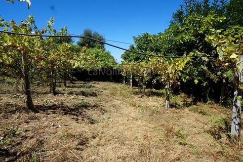 Helårsgrund i Moncao, Viana do Castelo, Moncao - € 15.000 | Ref: 4223 - foto 3