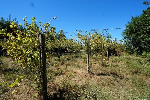 Helårsgrund i Moncao, Viana do Castelo, Moncao - € 15.000 | Ref: 4223 - foto 4