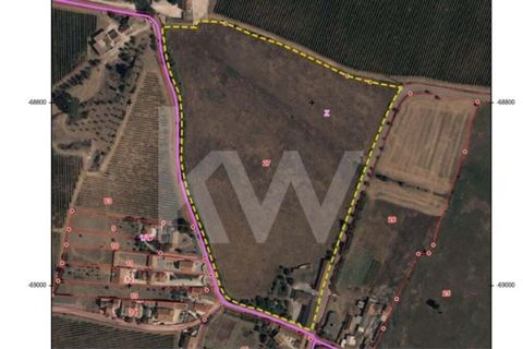 Farm hus i Alenquer, Lisbon, Alenquer - € 2.200.000 | Ref: 1210-3110 - foto 3