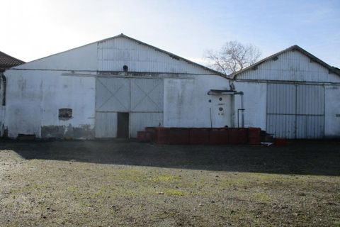 Villa a Rieumes, Haute-Garonne, Rieumes - € 648.000 | Ref: 31069160519 - foto 19