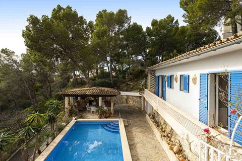 Villa a Peguera, Mallorca, Peguera - € 1.495.000 | Ref: 2203683 - foto 28