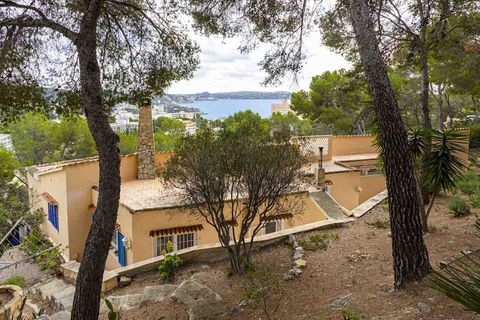 Villa a Peguera, Mallorca, Peguera - € 1.495.000 | Ref: 2203683 - foto 31