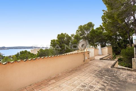 Villa a Peguera, Mallorca, Peguera - € 1.495.000 | Ref: 2203683 - foto 32