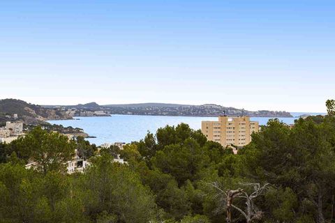 Villa a Peguera, Mallorca, Peguera - € 1.495.000 | Ref: 2203683 - foto 33