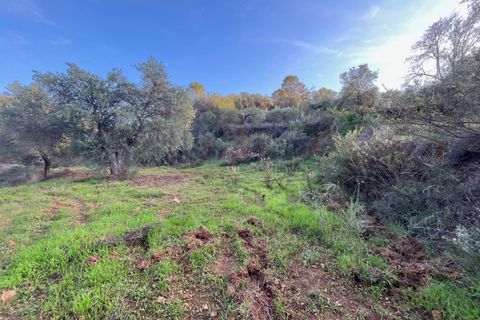 Helårsgrund i Monda, Malaga, Monda - € 52.000 | Ref: EXP08993/8930 - foto 6