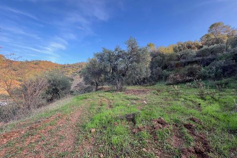 Helårsgrund i Monda, Malaga, Monda - € 52.000 | Ref: EXP08993/8930 - foto 7