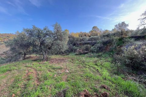 Helårsgrund i Monda, Malaga, Monda - € 52.000 | Ref: EXP08993/8930 - foto 16