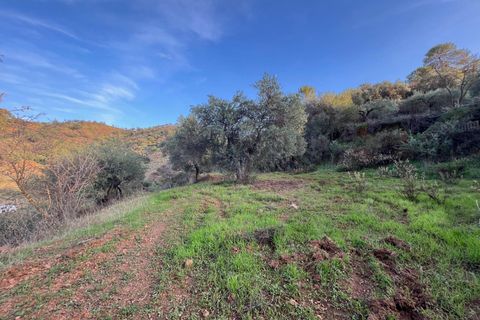 Helårsgrund i Monda, Malaga, Monda - € 52.000 | Ref: EXP08993/8930 - foto 18