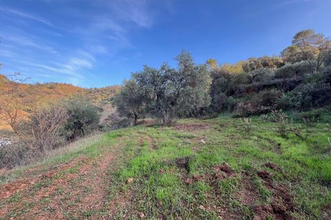 Helårsgrund i Monda, Malaga, Monda - € 52.000 | Ref: EXP08993/8930 - foto 19
