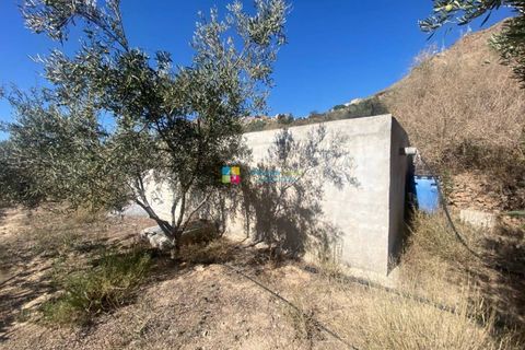 Landejendom i Somontin, Almeria, Somontin - € 58.000 | Ref: 2453 - foto 13