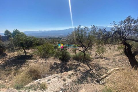 Landejendom i Somontin, Almeria, Somontin - € 58.000 | Ref: 2453 - foto 17