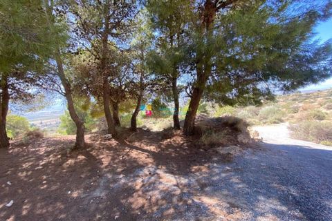 Landejendom i Somontin, Almeria, Somontin - € 58.000 | Ref: 2453 - foto 19