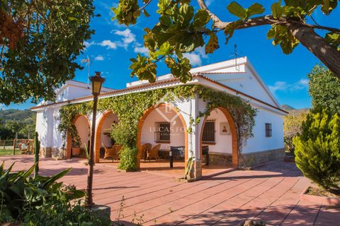Villa i Malaga city, Malaga, Malaga city - € 850.000 | Ref: MLG54027 - foto 38
