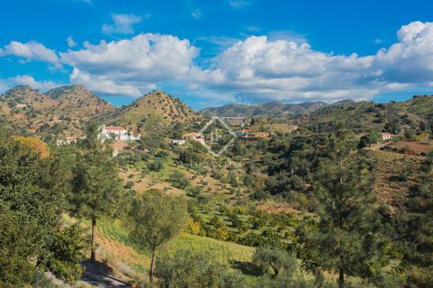 Villa i Malaga city, Malaga, Malaga city - € 850.000 | Ref: MLG54027 - foto 42