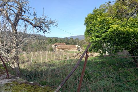 Villa i Moncao, Viana do Castelo, Moncao - € 290.000 | Ref: SF-SAFTI:006309 - foto 13