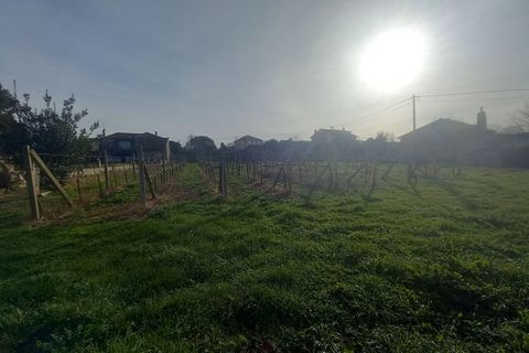 Villa i Moncao, Viana do Castelo, Moncao - € 290.000 | Ref: SF-SAFTI:006309 - foto 20