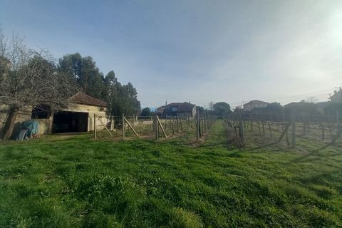 Villa i Moncao, Viana do Castelo, Moncao - € 290.000 | Ref: SF-SAFTI:006309 - foto 21