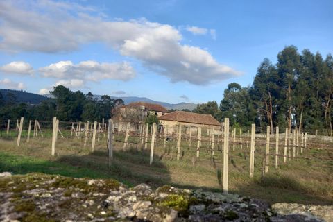 Villa i Moncao, Viana do Castelo, Moncao - € 290.000 | Ref: SF-SAFTI:006309 - foto 25
