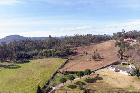 Helårsgrund i Ponte de Lima, Viana do Castelo, Ponte de Lima - € 263.000 | Ref: SF-SAFTI:007285 - foto 2