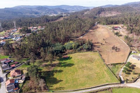 Helårsgrund i Ponte de Lima, Viana do Castelo, Ponte de Lima - € 263.000 | Ref: SF-SAFTI:007285 - foto 3